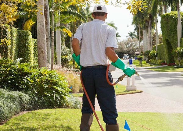 About Mc Kees Rocks PA Pest Control Pros